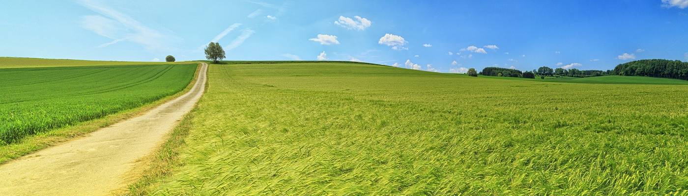Panorama Wanderweg