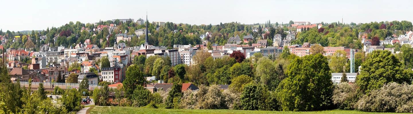 Panorama Crimmitschau