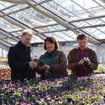 30 Jahre Blumenpavillon & Friedhofsgärtnerei Schulze Friedhofsgärtnerei