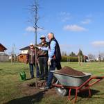 Baumpflanzung 20220423