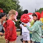 IMG 8417 (2)