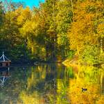 herbst im sahnpark 12
