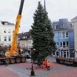 weihnachtsbaum