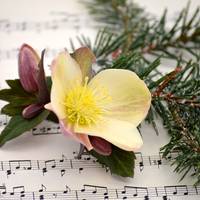 Adventssingen copyright pixabay Frauke Riether