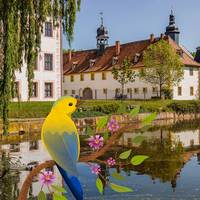 Vogelführung im DLM Schloss Blankenhain