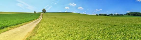 Panorama Wanderweg